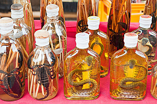 展示,老挝,威士忌,禁止,乡村,琅勃拉邦