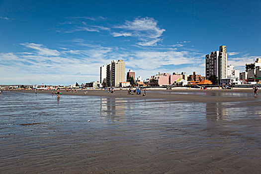 海滩,丘布特省,靠近,半岛,阿根廷,南美