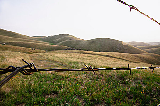 刺铁丝网,山地风景,加利福尼亚,美国