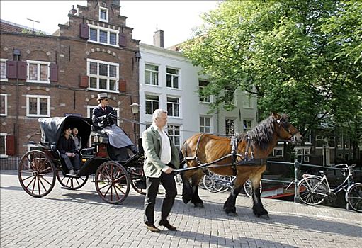 城市,旅游,马,马车,阿姆斯特丹,荷兰,欧洲