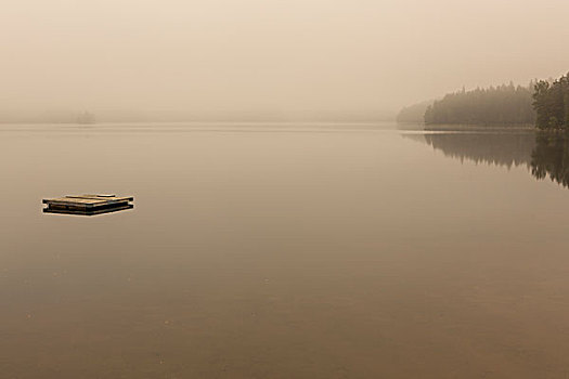 湖,雾状,天气