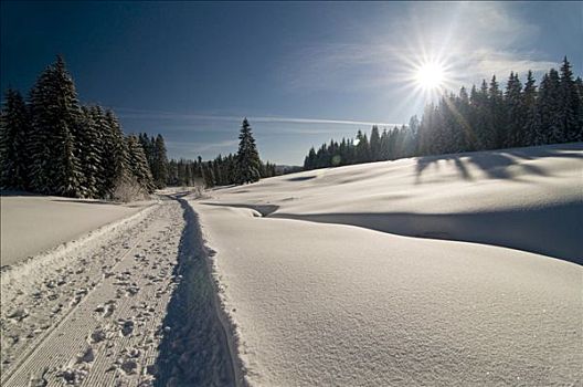 积雪,林中空地,太阳,冬天,徒步旅行,早晨,黑森林,巴登符腾堡,德国,欧洲
