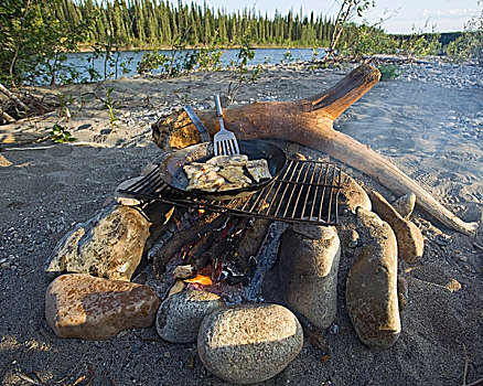 烹调,油炸,鱼,肉片,露营,河,育空地区,加拿大