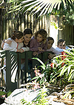 一群孩子,看,俯视,栏杆,野生动植物园
