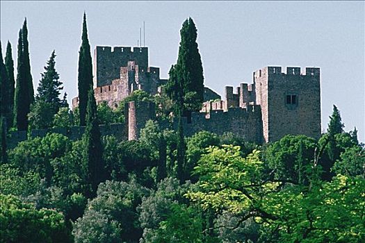 城堡,后面,树,托马尔,葡萄牙