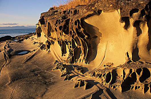 砂岩构造,省立公园,岛屿,不列颠哥伦比亚省,加拿大