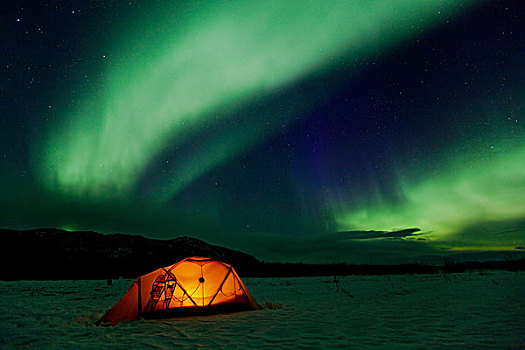 光亮,探险,帐蓬,传统,木质,雪地鞋,北极光,极光,绿色,紫色,蓝色,靠近,育空地区,加拿大