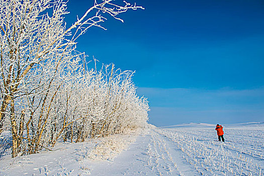 冰天雪地天际线高寒