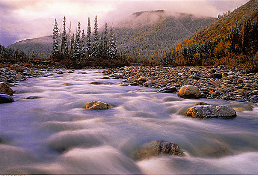 晚秋,水,急促,上方,石头,不列颠哥伦比亚省,加拿大
