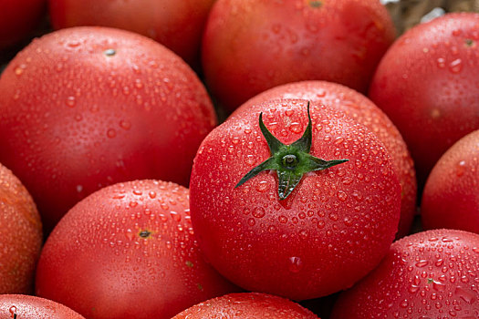 一堆红色诱人的西红柿