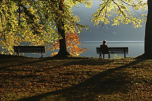 公园长椅,科赫尔湖,上巴伐利亚,巴伐利亚,德国