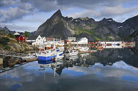 捕鱼,港口,莫斯克内斯,罗弗敦群岛,挪威,斯堪的纳维亚