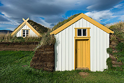 草皮,房子,建筑,博物馆,区域,冰岛,欧洲