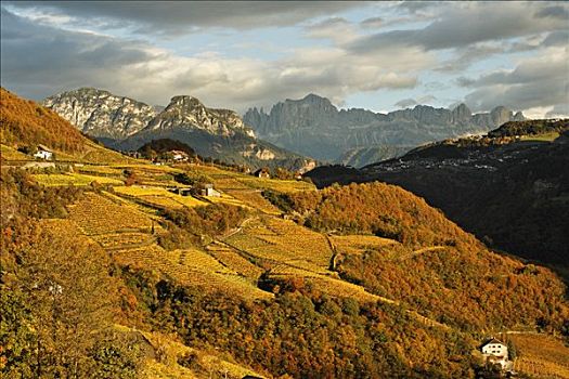 秋天,彩色,山,中间,左边,山脉,右边,南蒂罗尔,意大利