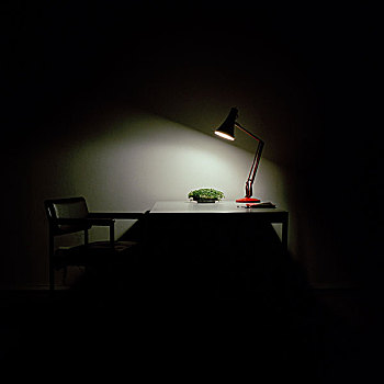暗色,房间,桌子,椅子,站立,照亮,向上,些微地,苗条地,灯,看,植物,亮光