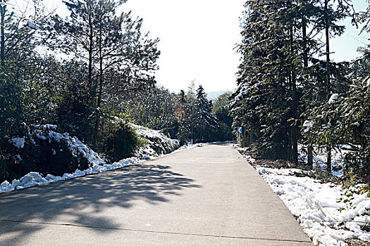 雪山道路