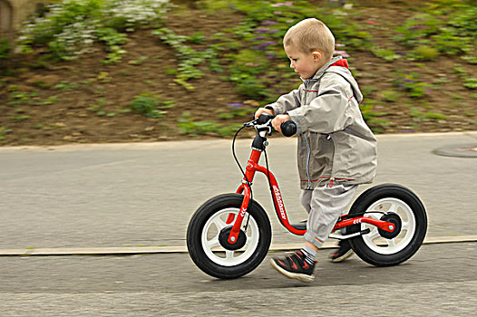男孩,4岁,骑,平衡,自行车,人行道