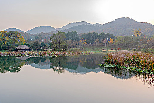 杭州西湖茅家埠秋景