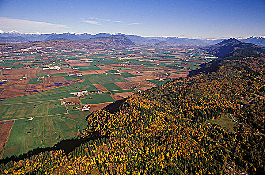 俯视,草原,山谷,不列颠哥伦比亚省,加拿大