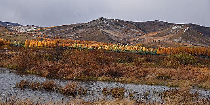 阿尔山雪景