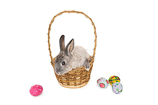 小兔,坐,篮子,复活节彩蛋