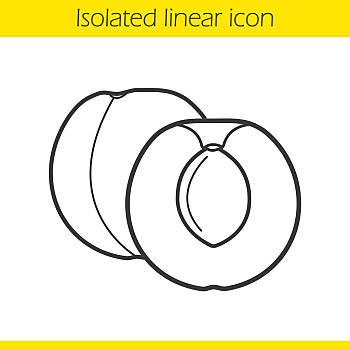 杏子,直线,象征,线条,插画,轮廓,矢量