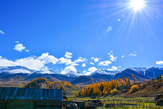 西北第一村白哈巴金秋盛景