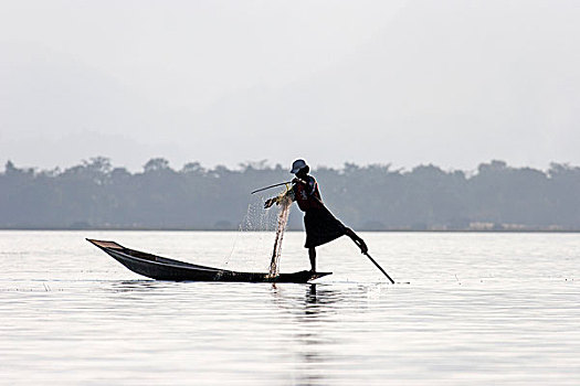 渔民,腿,桨手,船,茵莱湖,掸邦,缅甸,亚洲