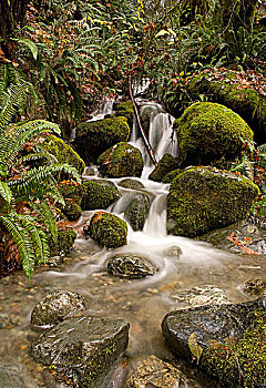 瀑布,省立公园,不列颠哥伦比亚省,加拿大
