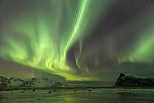 北极光,海岸,靠近,罗弗敦群岛,挪威,欧洲