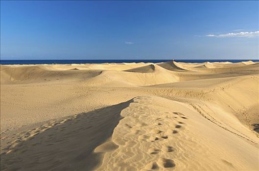 沙丘,大卡纳利岛,加纳利群岛,西班牙