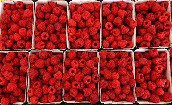 新鲜,扁篮,树莓,出售,市场,纽伦堡,巴伐利亚,德国,欧洲