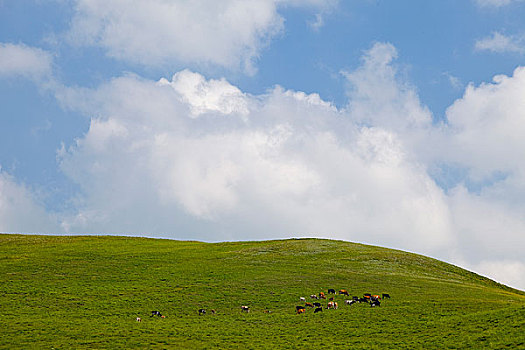 内蒙,阿尔山