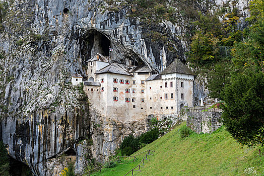 洞穴,城堡,毕业生,靠近,波斯托伊纳,斯洛文尼亚,欧洲