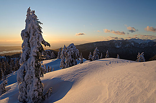 冬天,攀升,省立公园,北温哥华,不列颠哥伦比亚省,加拿大