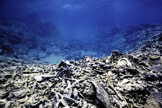 海南琼海,华光礁一号南宋沉船出水古瓷器