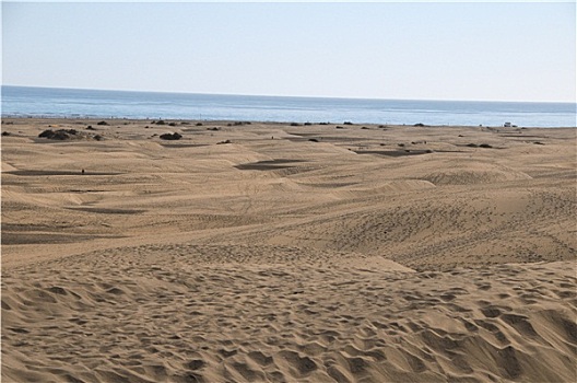 沙丘,沙漠