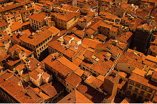 屋顶,佛罗伦萨,托斯卡纳,意大利