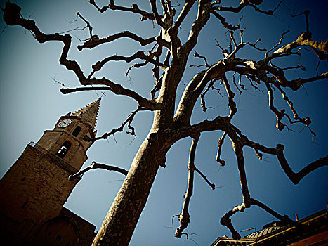 教堂塔,树