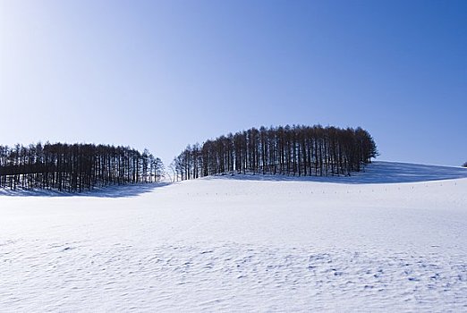 靠近,春天