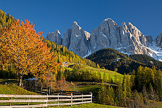 秋天,风景,仰视,白云岩,意大利
