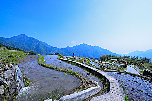 中国最美梯田,浙江丽水云和梯田