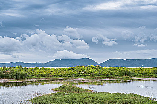 滇池东岸湿地风光