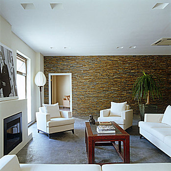 一个,墙壁,现代,起居室,排列,花冈岩