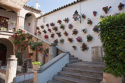 墙壁,盆栽,圣母教堂,科多巴,西班牙