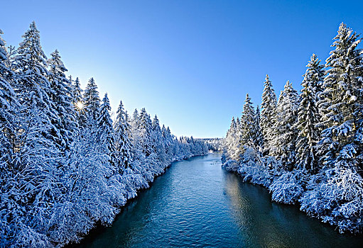 伊萨河,自然保护区,冬天,靠近,上巴伐利亚,巴伐利亚,德国,欧洲