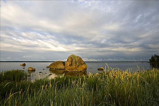 石头,国家公园,爱沙尼亚,波罗的海国家,欧洲