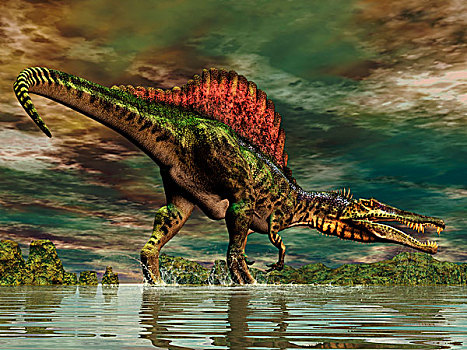 大,恐龙,白垩纪,时期