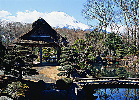 山,富士山,日本