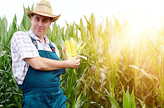 农民,帽子,检查,玉米棒,地点,背景